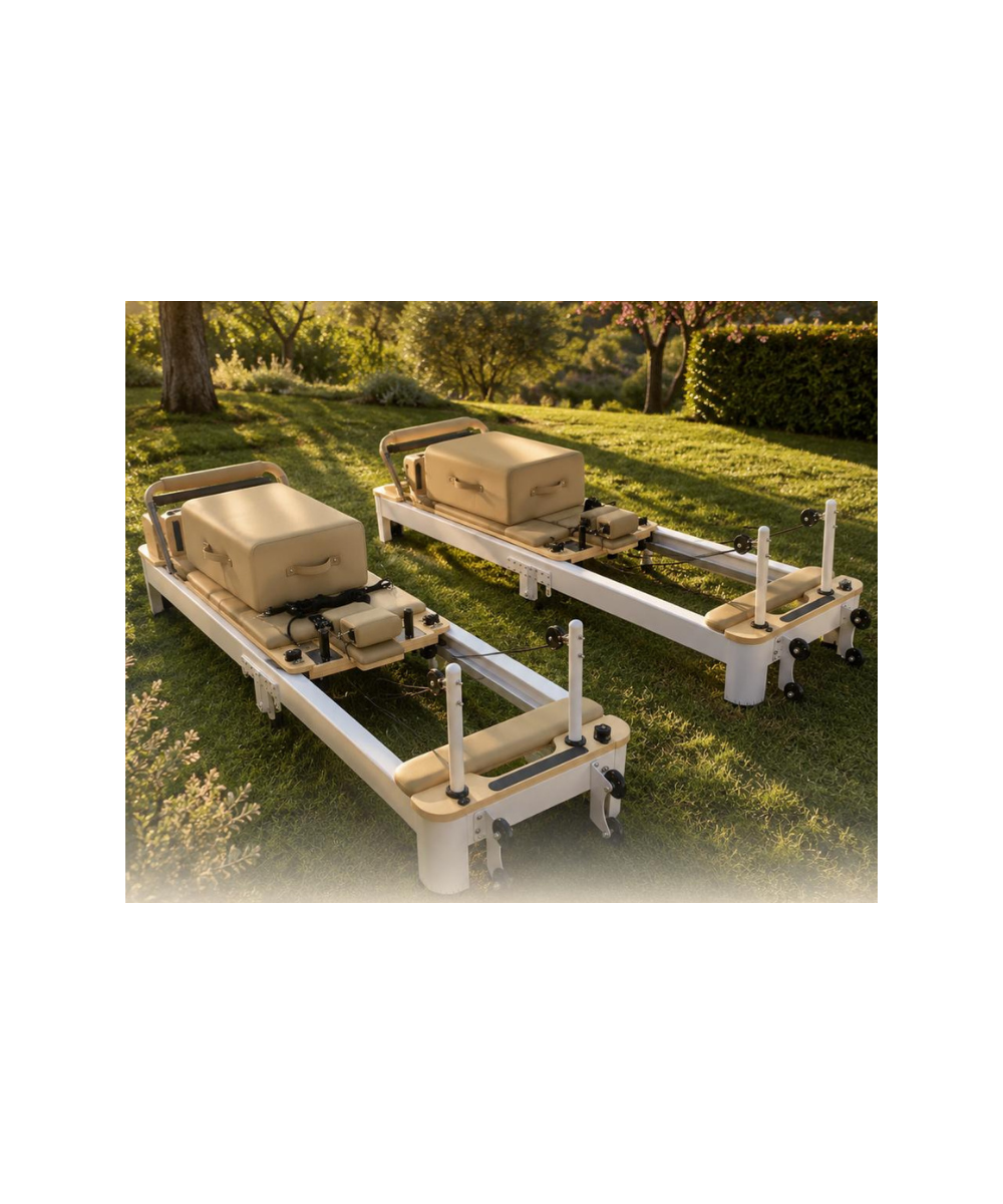 Reformer