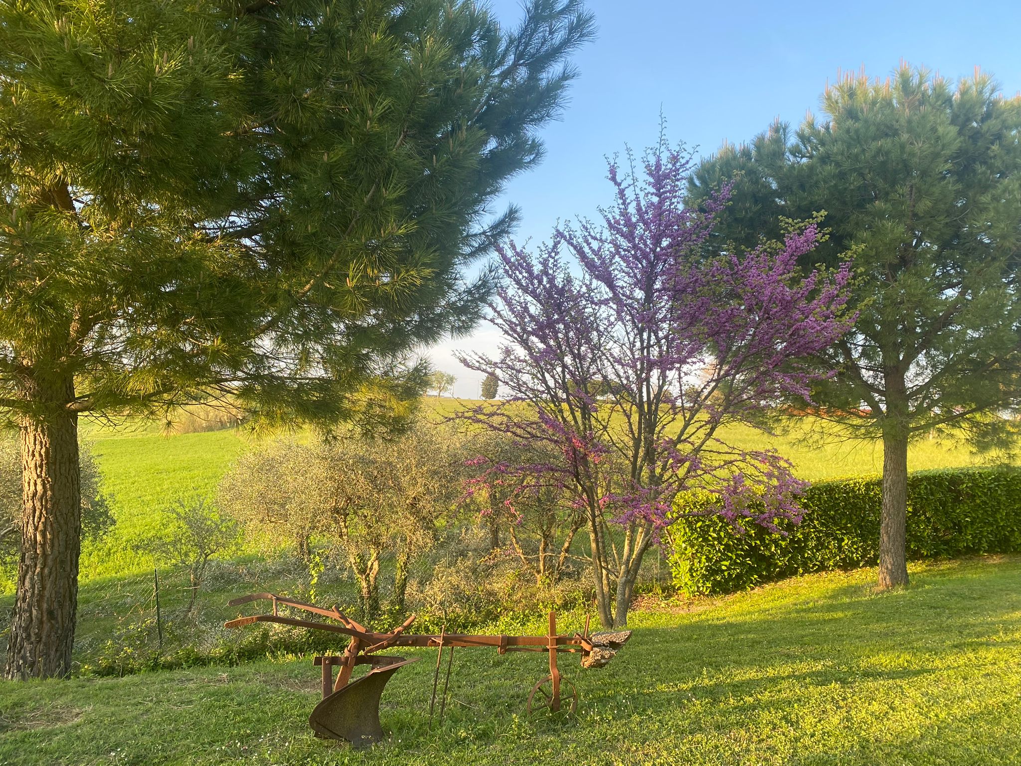 Scorcio Giardino 1