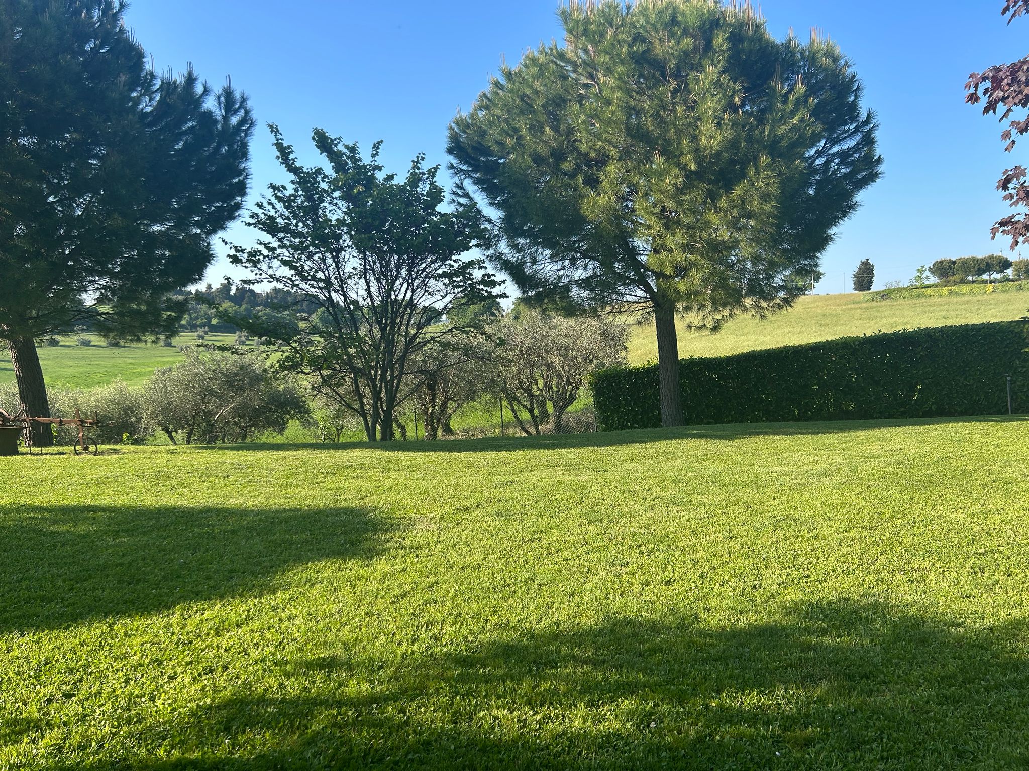 Scorcio Giardino 4