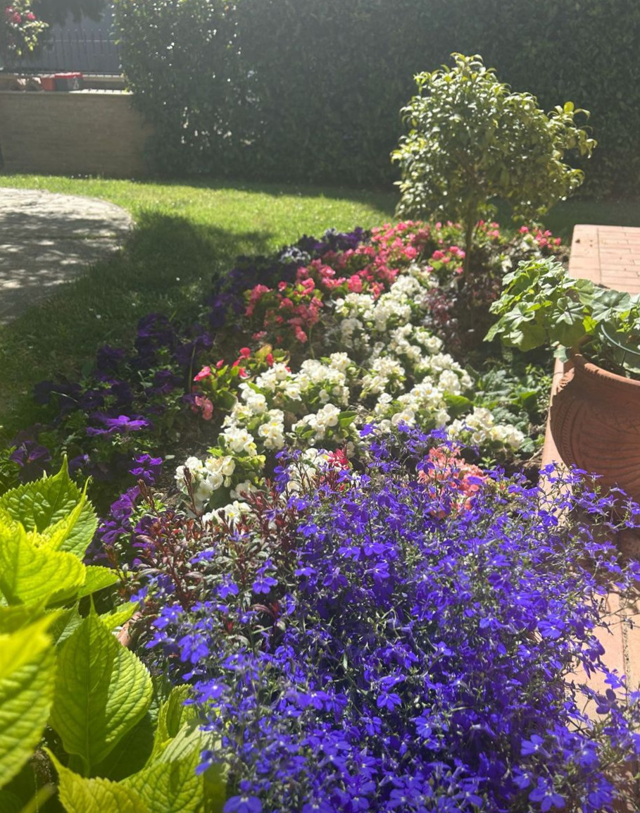 Scorcio Giardino 6